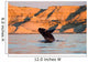 Southern Right Whale Calf Wall Decal Design 6