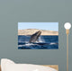 Southern Right Whale Calf Wall Decal Design 5