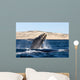 Southern Right Whale Calf Wall Decal Design 5