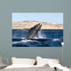 Southern Right Whale Calf Wall Decal Design 5