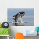Adult Southern Right Whale Wall Decal Design 13