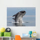 Adult Southern Right Whale Wall Decal Design 13