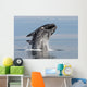 Adult Southern Right Whale Wall Decal Design 13