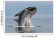 Adult Southern Right Whale Wall Decal Design 13
