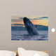 Adult Southern Right Whale Wall Decal Design 12