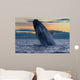 Adult Southern Right Whale Wall Decal Design 12
