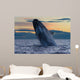 Adult Southern Right Whale Wall Decal Design 12