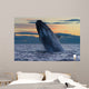 Adult Southern Right Whale Wall Decal Design 12