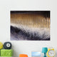 Close-up Baleen Plates California Wall Decal