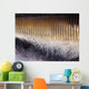 Close-up Baleen Plates California Wall Decal