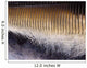Close-up Baleen Plates California Wall Decal