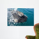 Southern Right Whale Raising Wall Decal Design 2