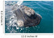 Southern Right Whale Raising Wall Decal Design 2