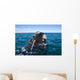 Southern Right Whale Raising Wall Decal Design 1