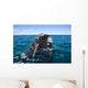 Southern Right Whale Raising Wall Decal Design 1