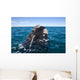 Southern Right Whale Raising Wall Decal Design 1