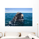 Southern Right Whale Raising Wall Decal Design 1