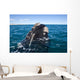 Southern Right Whale Raising Wall Decal Design 1
