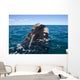 Southern Right Whale Raising Wall Decal Design 1