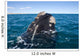 Southern Right Whale Raising Wall Decal Design 1