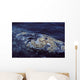 Cluster Barnacles California Gray Wall Decal