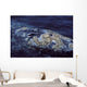 Cluster Barnacles California Gray Wall Decal