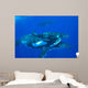 Humpback Whale Mother and Wall Decal