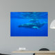 Humpback Whale Megaptera Novaeangliae Wall Decal Design 3