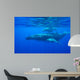 Humpback Whale Megaptera Novaeangliae Wall Decal Design 3