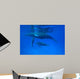 Humpback Whale Megaptera Novaeangliae Wall Decal Design 2