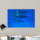 Humpback Whale Megaptera Novaeangliae Wall Decal Design 2