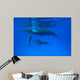 Humpback Whale Megaptera Novaeangliae Wall Decal Design 2