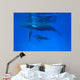 Humpback Whale Megaptera Novaeangliae Wall Decal Design 2