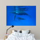 Humpback Whale Megaptera Novaeangliae Wall Decal Design 2