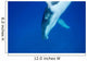 Diving Humpback Whale Calf Wall Decal Design 3