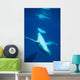 Diving Humpback Whale Calf Wall Decal Design 2