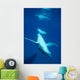 Diving Humpback Whale Calf Wall Decal Design 2
