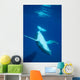 Diving Humpback Whale Calf Wall Decal Design 2