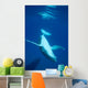 Diving Humpback Whale Calf Wall Decal Design 2