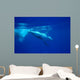 Diving Humpback Whale Calf Wall Decal Design 1