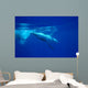Diving Humpback Whale Calf Wall Decal Design 1