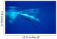 Diving Humpback Whale Calf Wall Decal Design 1