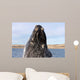 Southern Right Whale Breaching Wall Decal Design 8