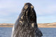 Southern Right Whale Breaching Wall Decal Design 8