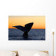 Tail Fluke Southern Right Wall Decal Design 11