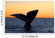 Tail Fluke Southern Right Wall Decal Design 11