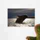 Southern Right Whale Breaching Wall Decal Design 6
