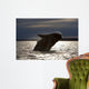 Southern Right Whale Breaching Wall Decal Design 6