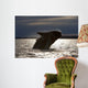 Southern Right Whale Breaching Wall Decal Design 6