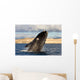 Southern Right Whale Breaching Wall Decal Design 5